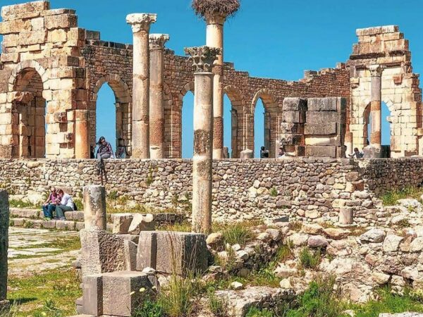 Volubilis and Meknes Day Tour from Fes Fez